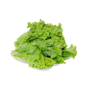 Green Lettuce - Go! Salads Grocer